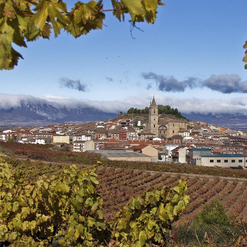 Camino de Santiago en Navarrete